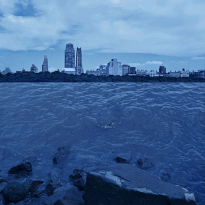 又粗又大又黄A片免费看樱花
